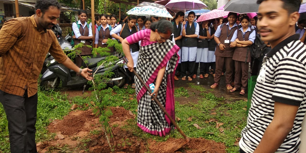diploma course in thrissur